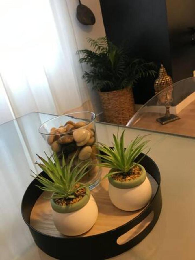 Nuevo Apartamento En Playa De Las Canteras Лас-Пальмас-де-Гран-Канария Экстерьер фото